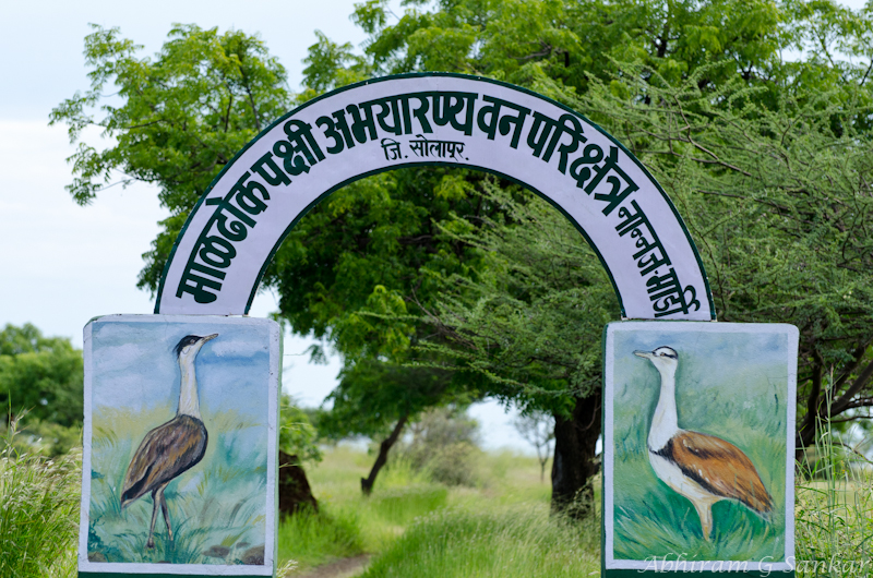 nannaj wildlife sanctuary